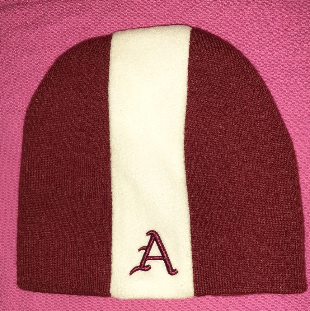 Arkansas Razorback Toboggan - Picture 2 of 2